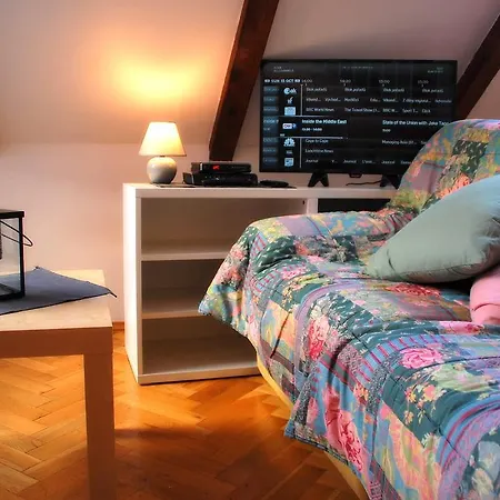 Generous Attic Appartement *