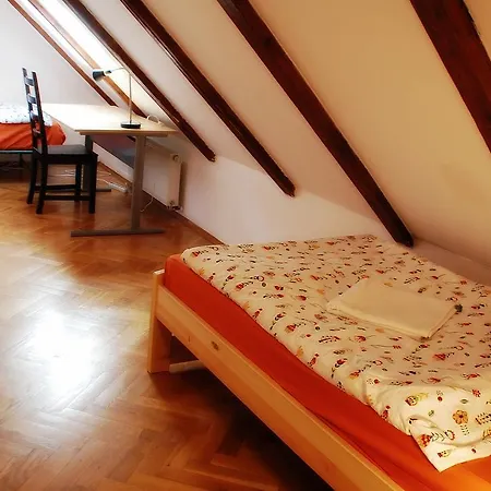 Generous Attic Appartement *