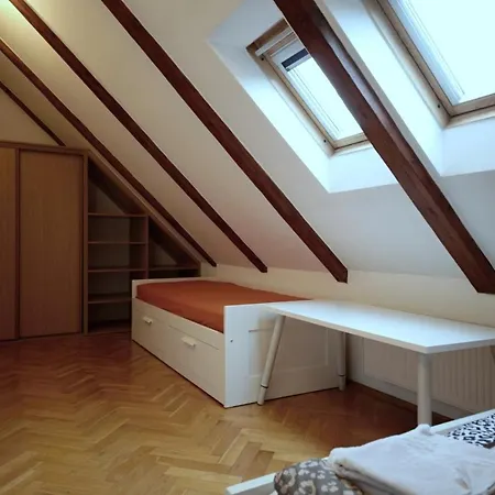 Generous Attic Appartement *