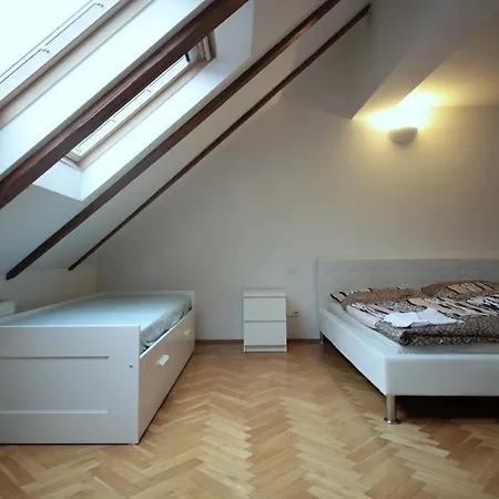 Generous Attic Appartement *